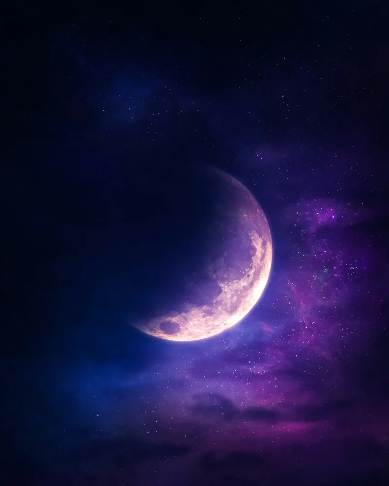 드림피디아 화면